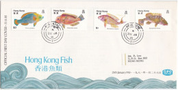 HONG KONG - FDC -  BUSTA  PRIMO GIORNO  - 1981 - FDC