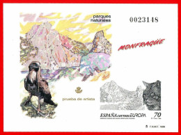 España. Spain. 1999. PO. EUROPA. Parque De Monfragüe. Gato Montes - Blocs & Hojas