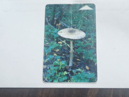 BELARUS-(BY-BLT-124)-Mushroom Lepiota-(107)(GOLD CHIP)(052437)(tirage-108.000)used Card+1card Prepiad Free - Belarús