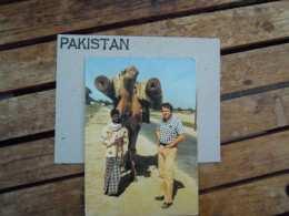 Pakistan Camel   Used Circulé Gelopen - Pakistán