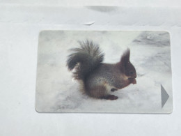 BELARUS-(BY-BLT-133b)-Squirrel-(114)(GOLD CHIP)(022360)(tirage-319.000)used Card+1card Prepiad Free - Belarús