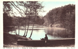 Carte POSTALE Ancienne De  LE  PERRAY  - Etang De Coupe Gorge - Le Perray En Yvelines