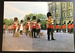 THE CORPS OF DRUMS 1st Battalion Irish Guards In Forecourt Of Buckingham Palace With Mascot « Shaun » - Buckingham Palace