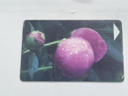 BELARUS-(BY-BLT-141b)-Peon Flowers-(121)(GOLD CHIP)(046046)(tirage-28.700)used Card+1card Prepiad Free - Bielorussia