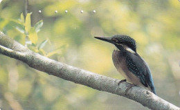 JAPAN - Bird, Kingfisher(110-016), Used - Otros & Sin Clasificación
