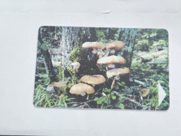 BELARUS-(BY-BLT-150)-Mushroom Armillaria-(130)(GOLD CHIP)(030986)(tirage-61.300)-used Card+1card Prepiad Free - Wit-Rusland