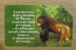 Italy, Telephonecard, Empty And Used - Altri & Non Classificati