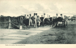 Colombia, BARRANQUILLA, Venta De Yerba (1910s) Postcard - Colombie