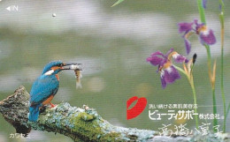 JAPAN - Bird, Kingfisher(110-011), Used - Otros & Sin Clasificación