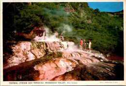 15-11-2023 (2 V 17) New Zealand Posted To Australia 1963) With NAC Air Mail Label - Waimangu Valley Thermal Stream - Nouvelle-Zélande