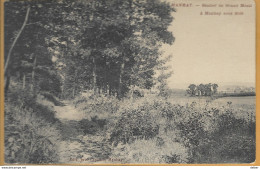 Op-643: MANHAY  Sueutier De Grand Menlii à Manhay Sous Bois -  N°108-tab: MANHAY > Anvers 1913 - Manhay