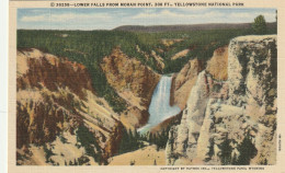 Lower Falls From Moran Point, 308 Ft., Yellowstone National Park, Wyoming - Yellowstone