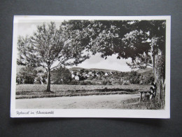 BRD 1954 Heuss I Mit SSt / Foto AK Gasthaus Und Pension Lamm Pfeiffers Schwarzwaldstuben Rotensol Bei Herrenalb - Briefe U. Dokumente