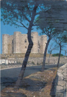 CARTOLINA  CASTEL DEL MONTE,ADRIA,PUGLIA-STORIA,MEMORIA,CULTURA,RELIGIONE,IMPERO ROMANO,BELLA ITALIA,VIAGGIATA 1977 - Andria