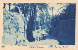 MAROC - Bou-Denib - La Palmeraie - Carte Postale Ancienne - Andere & Zonder Classificatie