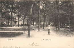 BELGIQUE - Namur - Vue Du Parc Léopold - Carte Postale Ancienne - Namen