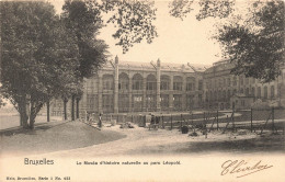 BELGIQUE - Bruxelles - Le Musée D'histoire Naturelle Au Parc Léopold - Animé - Carte Postale Ancienne - Musées
