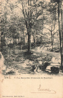 BELGIQUE - Spa - Le Marcenillier (Promenade De Meyerbeer) - Carte Postale Ancienne - Spa
