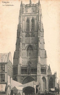 BELGIQUE - Tongres - Vue Sur La Cathédrale - Carte Postale Ancienne - Tongeren
