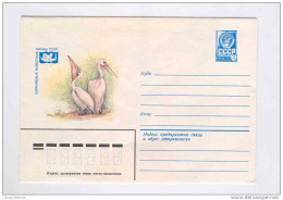 RUSSIE - OISEAUX -  Enveloppe Entier Postal 4 K Pélicans / Neuve  -- 10/822 - Pelicans