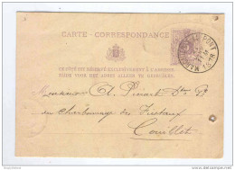 Entier Type TP 45 MARCHIENNE AU PONT 1878  - Cachet Privé Des Forges De ZONE  -- B3/288 - Briefkaarten 1871-1909