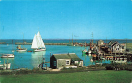 ETATS-UNIS - Bassin De Menemsha - Martha'sVineyard Island - Colorisé - Carte Postale - Autres & Non Classés