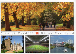 CPM GRAND FORMAT 1 - PAYS DE GALLES - WALES - CITY OF CARDIFF - DINAS CAERDYDD - STADE DE RUGBY - Glamorgan