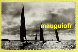 SPORTS / VOILE / BASSIN D'ARCACHON : CONTRE-JOUR SUR LES RÉGATES - Sailing