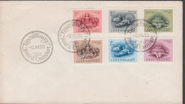 1955. LUXEMBOURG. Fine FDC With Complete Set CARITAS Cancelled First Day Of Issue LUXEMBO... (Michel 541-546) - JF445157 - Brieven En Documenten