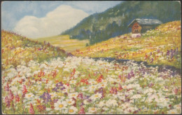 Anna Haller - Champ De Fleurs, C.1910s - Vouga CPA - Haller, A.