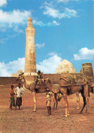 YÉMEN - Zabid - Halte Des Chameaux Aux Pieds De La Grande Mosquée - Colorisé - Carte Postale - Jemen