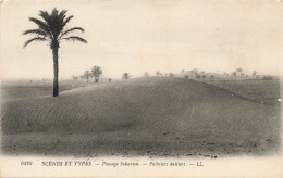 ALGERIE - Scènes Et Types - Paysage Saharien - Palmiers Dattiers - LL. - Carte Postale Ancienne - Scene & Tipi