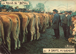 CÉLÉBRITÉS - Louis Buffier - La Revue De Bétail - Alignement - Colorisé - Carte Postale Ancienne - Other & Unclassified