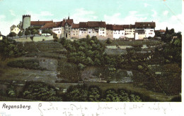 REGENSBERG, TOWER, ARCHITECTURE, GARDENS, SWITZERLAND - Regensberg