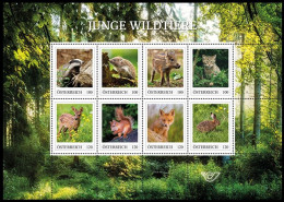 Autriche** - Jeunes Animaux Sauvages / Jonge Wilde Dieren / Junge Wildtiere / Young Wild Animals - Hasen