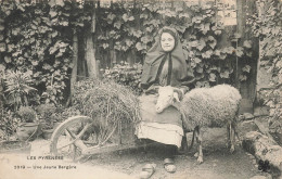 Les Pyrénées * Une Jeune Bergères Du Pays * Agriculture Agricole Type - Other & Unclassified