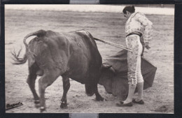 Delcampe - Cours De Taureaux - ( 6 Cpa ) - Stierkampf