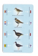 Carta Telefonica Paesi Bassi - Birds Of FL. 25  -  Carte Telefoniche@Scheda@Schede@Phonecards@Telecarte@Telefonkarte - Públicas