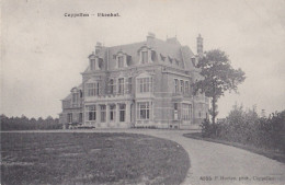 KAPELLEN 1912 KASTEEL VILLA EIKENHOF - HOELEN 4555 - Kapellen