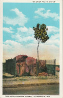 Tree Rock On Lincoln Highway, Near Laramie, Wyoming - Laramie