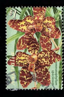 1998 Native Orchids  Michel AU 1752 Stamp Number AU 1683 Yvert Et Tellier AU 1691 Stanley Gibbons AU 1802 Used - Oblitérés