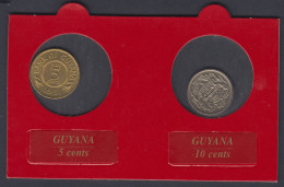 GUYX02 - GUYANA - SET DE 2 MONNAIES - 5 Cents 1991 Et 10 Cents 1991 - Guyana