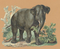 ELEPHANT -  GRAND DECOUPI  ( 16x11 ) LEGEREMENT GAUFFRE  -TB - Animales
