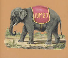 ELEPHANT  JUMBO-  GRAND DECOUPI  ( 19x14 ) LEGEREMENT GAUFFRE  -TB - Animales