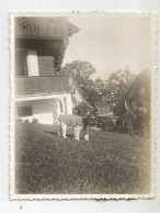 Photographie Chien Habit 1932 Lucerne  En Suisse Chalet Cachet Egli Luzern Photo 8,5x10,7 Cm Env - Orte