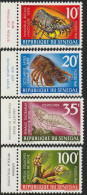 THEMATIC FAUNA:  CRUSTACEANS   -  SENEGAL - Crustaceans