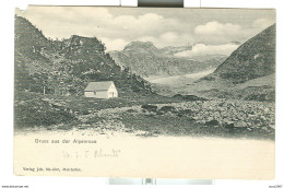 Austria, Tirol,"Alpenrose",1905, N/V - - Hall In Tirol