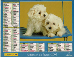Calendrier Des Postes 2002 - Chiots Puppies Sur Chaise Bleue, Golden Retriever  - Fleurs Cosmos, Pierre - Tamaño Grande : 2001-...