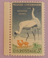 USA  YT 612B  NEUF** MNH "GRUES DU TEXAS"  ANNÉE 1956 - Ongebruikt