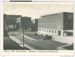 ROMA, CITTA UNIVERSITARIA, BIOLOGIA  E POSTERIORE DEL RETTORATO, B/N , NV,ANIMATA, AL VERSO GIORNATA FILATELICA, - Unterricht, Schulen Und Universitäten